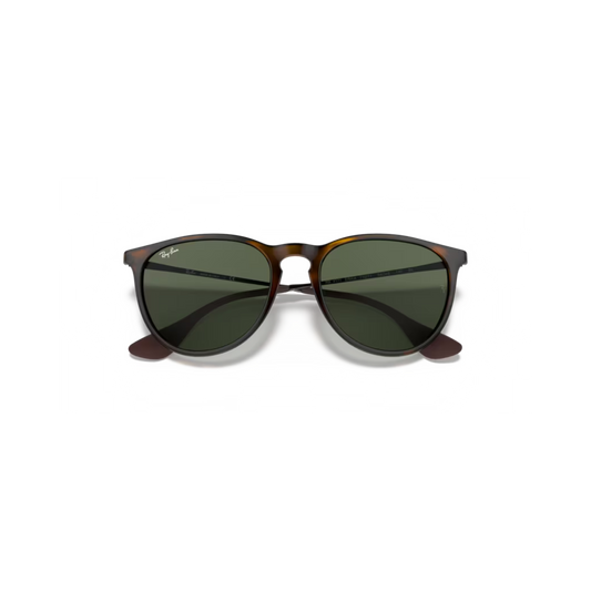 RAY-BAN 4171 ERIKA SUNGLASSES
