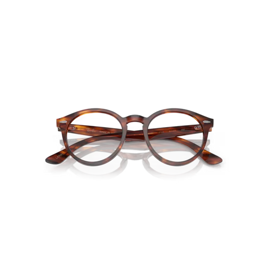 ÓCULOS RAY-BAN 7680V LARRY